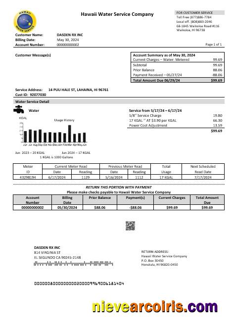 USA Hawaii Water Service Company business utility bill
